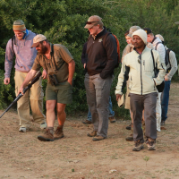 Tracking group, Ngala Camp, 2016