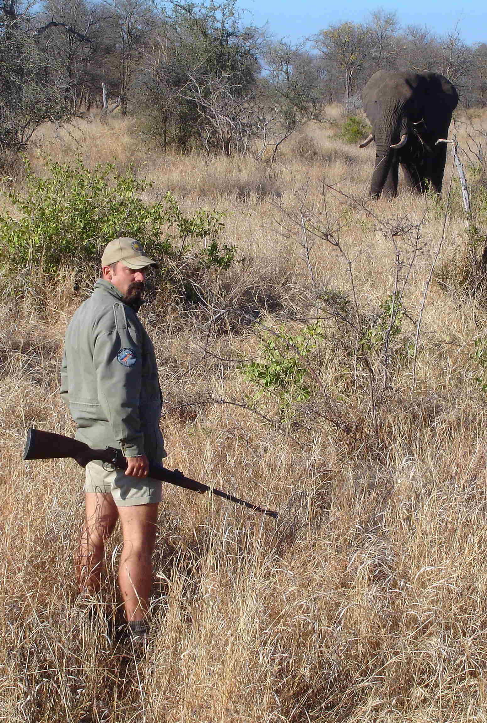 elephant and guide