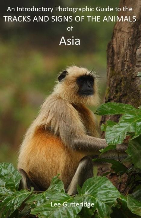 Tracking Animals, a guide to trailing wildlife